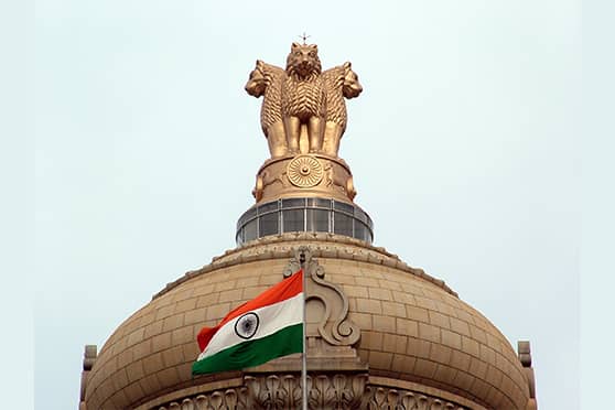 Government Sector